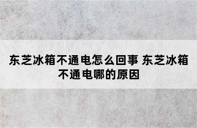 东芝冰箱不通电怎么回事 东芝冰箱不通电哪的原因